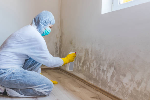 Licensed Crawl Space Mold Removal service in York, PA - WQB Mold Removal