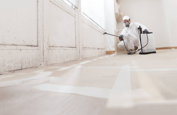 24/7 Emergency Crawl Space Mold Removal experts in York, PA