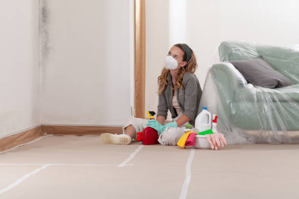Reliable Crawl Space Mold Removal contractor in York, PA by WQB Mold Removal